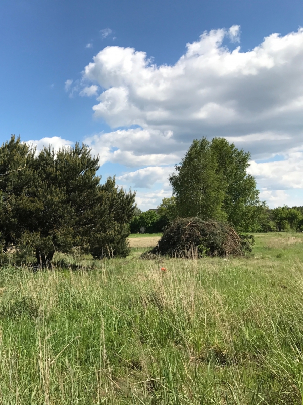 Zdjęcie do wpisu: Pierwsze kroki.